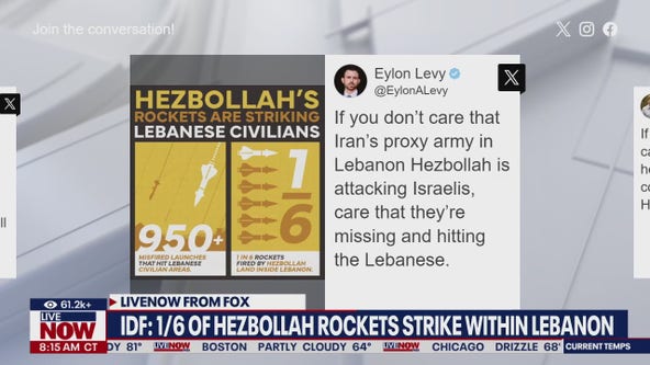1/6 of Hezbollah rockets strike within Lebanon