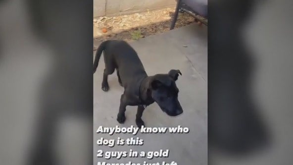 Couple dumps dog in West Covina