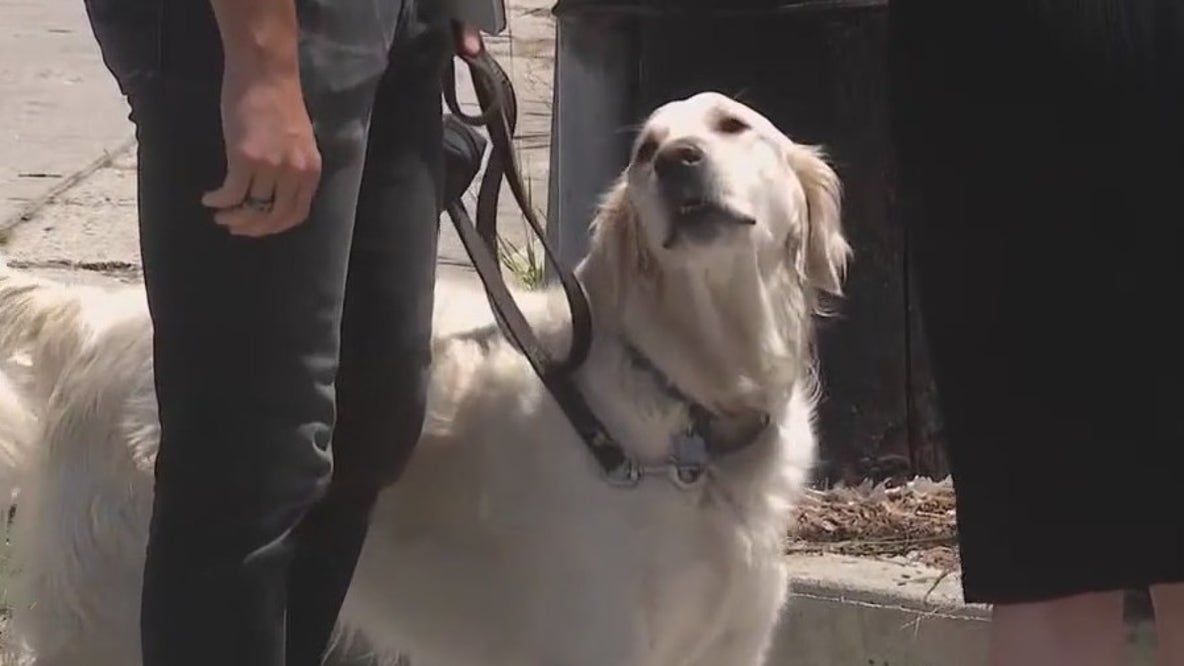 Officials test Venice Canals water amid recent dog deaths