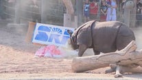 Animals cool down with Snow Day at Phoenix Zoo