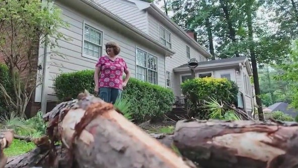 Homeowner says she was scammed by fleeing tree trimmer