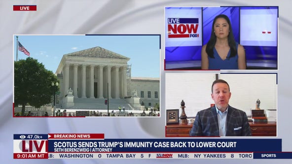 Supreme Court immunity ruling: Trump ‘got a real big victory today,’ expert says