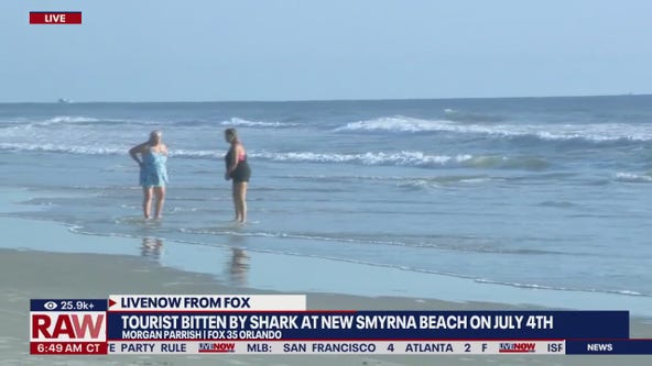 Tourist bitten by shark at New Smyrna Beach on 4th