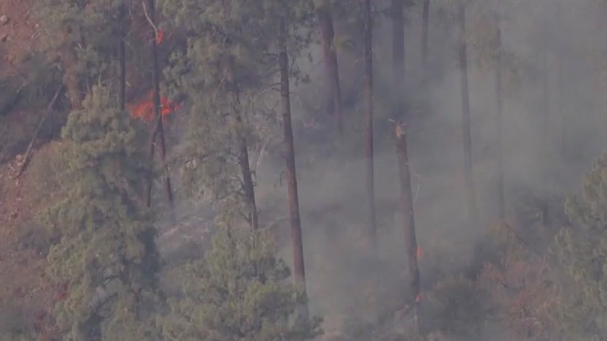 Latest numbers for Arizona's wildfires | Aug. 9