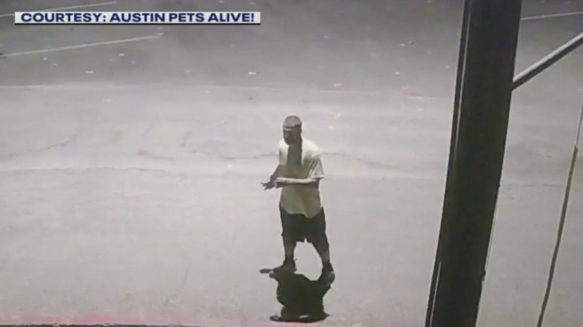 Break-in at Austin Pets Alive!