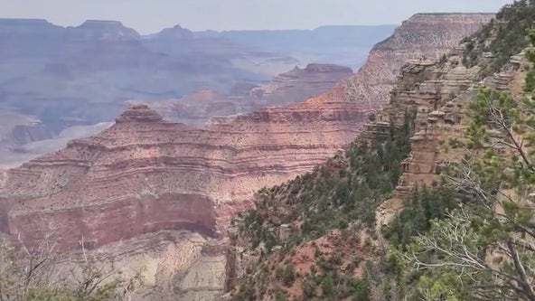 Grand Canyon South Rim hotels to reopen