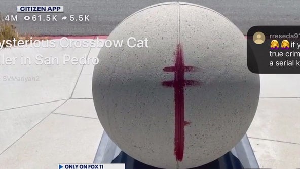 Cats shot at by crossbow in LA County
