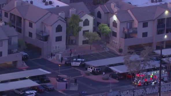 Man shot, killed by Mesa officers: PD