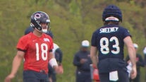 Free tickets to Chicago Bears training camp open to public