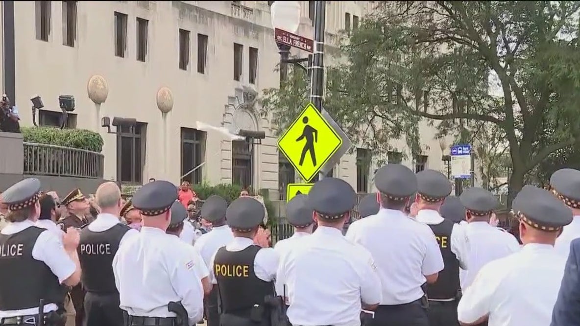 City of Chicago honors fallen officer Ella French with street renaming