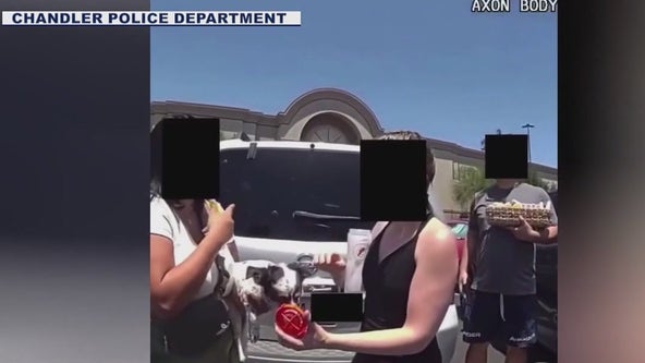 Dog saved from hot car in Chandler