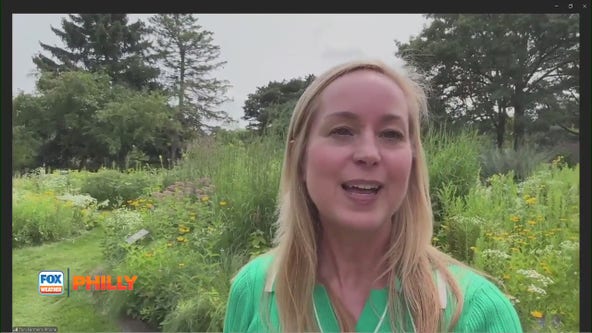 Tuesdays with Toni: Check out the Chicago Botanical Gardens | FOX Weather Philly