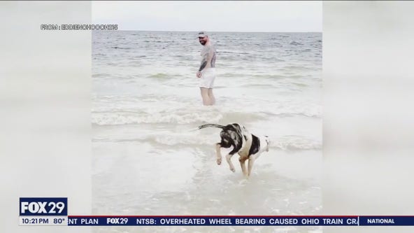 Philly man rescues dog while on vacation in Puerto Rico