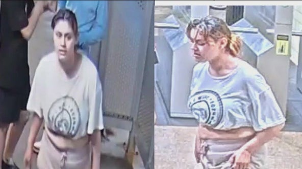 Police search for woman after violent Blue Line robbery