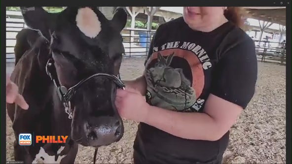 Gloucester County 4-H Fair is open to the public
