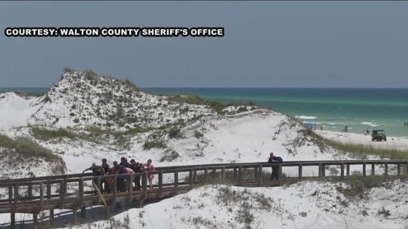 Panhandle beaches reopen after shark attacks
