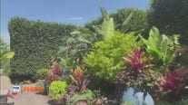 FOX Weather Philly: Longwood Gardens Kitchen Garden