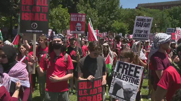 Pro-Palestine protestors gathered in front of the White House
