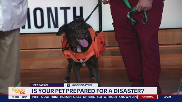 Is your pet prepared for a disaster?