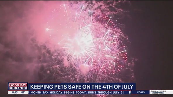 Keeping pets safe on the Fourth of July