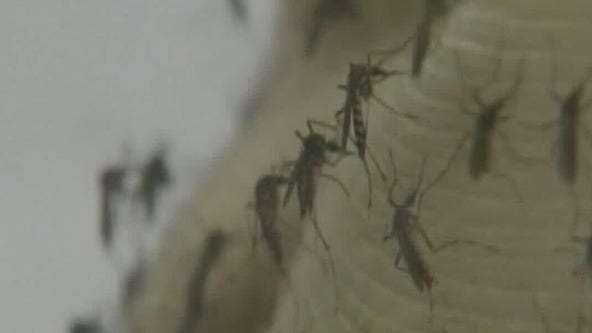 Concerns grow about new mosquito-borne illness