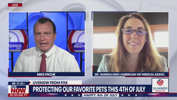 Protecting pets on the Fourth of July