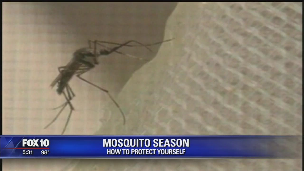 How to avoid being eaten alive during mosquito season