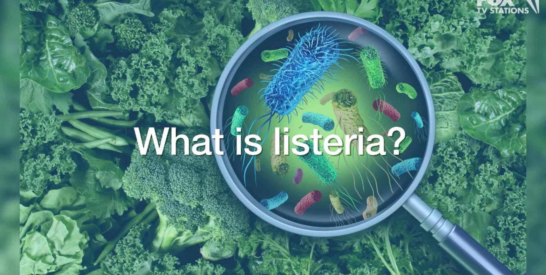 Giant supplier to Costco, Target and more recalling 10M pounds of meat: What to know