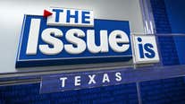 Texas: The Issue Is - DEI