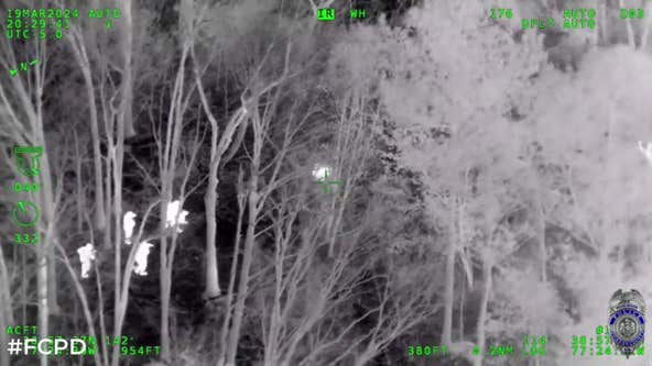 Suspects flee moving stolen vehicle, caught with Fairfax County helicopter