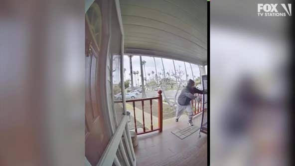 Video shows parrot being stolen off front porch of Santa Ana home