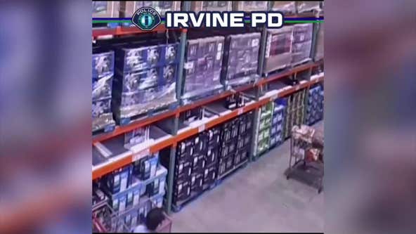 Alleged purse snatcher arrested in Irvine