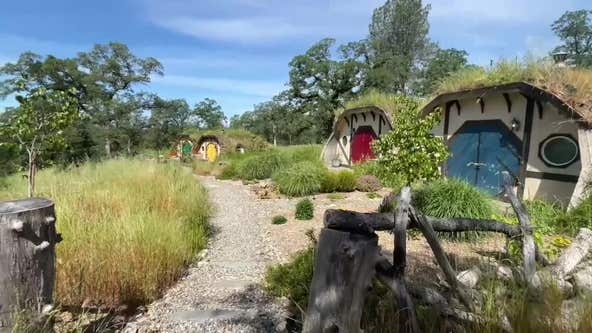 Hobbit-inspired bed and breakfast: Take a look inside