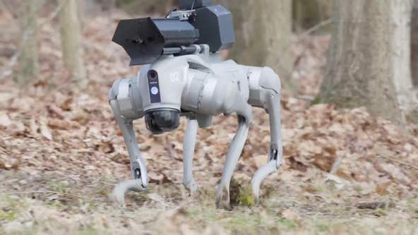 Flame-throwing robot dog available to buy in US
