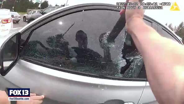 Pierce County Deputy Shoots car thief in back