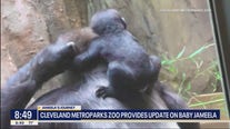 Cleveland Zoo gives update on baby Jameela