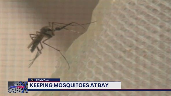 Keeping mosquitoes at bay