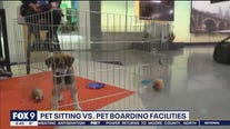 Pet sitting vs. pet boarding facilities: Advice from the animal humane society