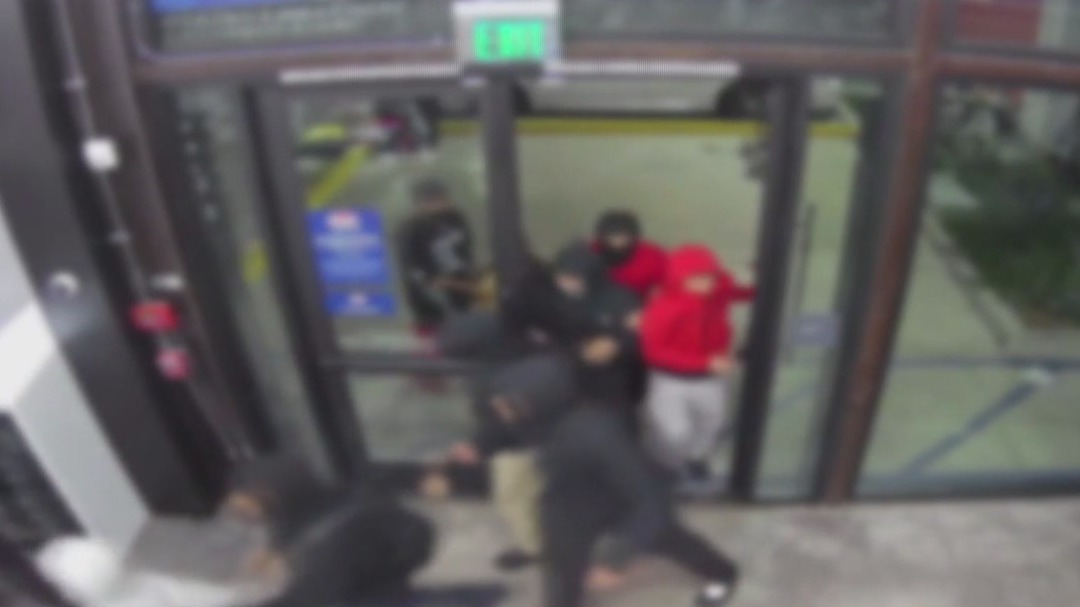 Search for LA flash mob robbers