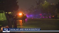 Deadly hit-and-run under investigation in South LA