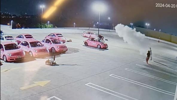 Vandals seen twerking on cars, cause extensive damage to small business