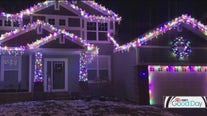 Simple tips for decorating your landscape for the holidays