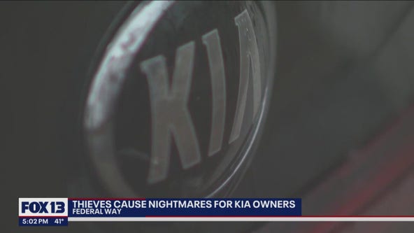 Thieves cause nightmares for Kia owners