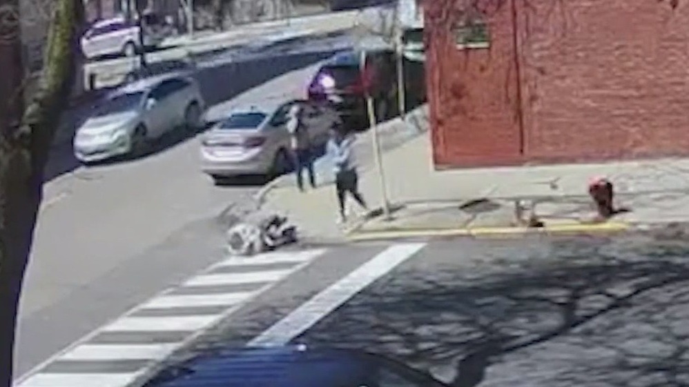 COPA releases video of off-duty Chicago cop shooting dog in head
