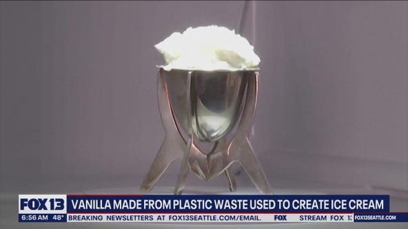 Vanilla made from plastic waste used to create ice cream