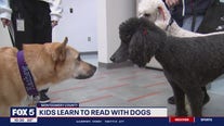Kids learn to read with the help of dogs