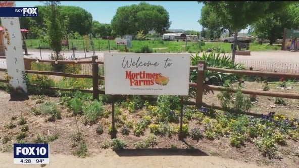 Mortimer Farms | Drone Zone