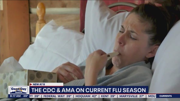 The CDC and AMA on current flu season