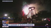 Summer Nights underway at Busch Gardens Tampa Bay