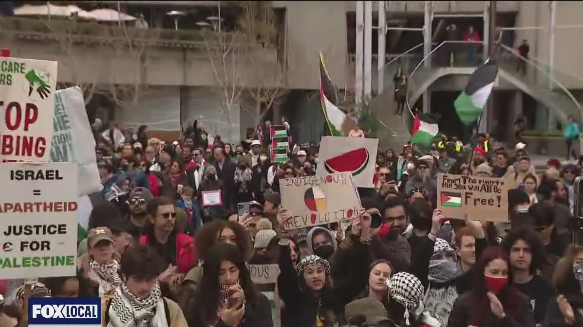 Hundreds gather for 'Hands Off Rafah' demonstration